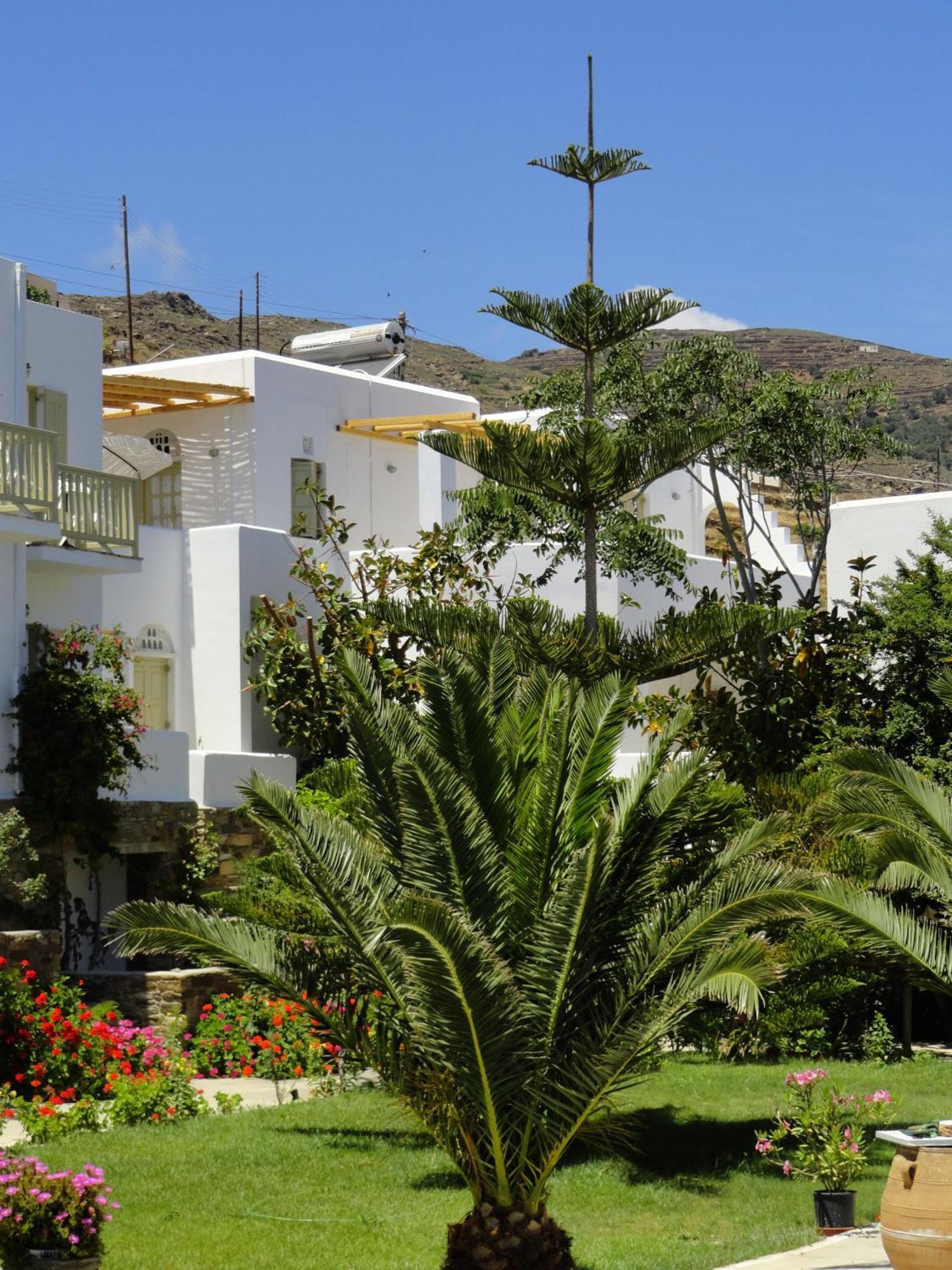 Vidalis Hotel Kionia Exterior foto